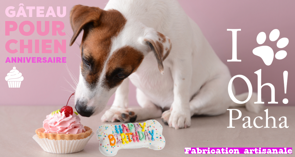 Gâteau pour chien Anniversaire - Oh ! Pacha